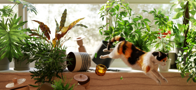 Plants and cat