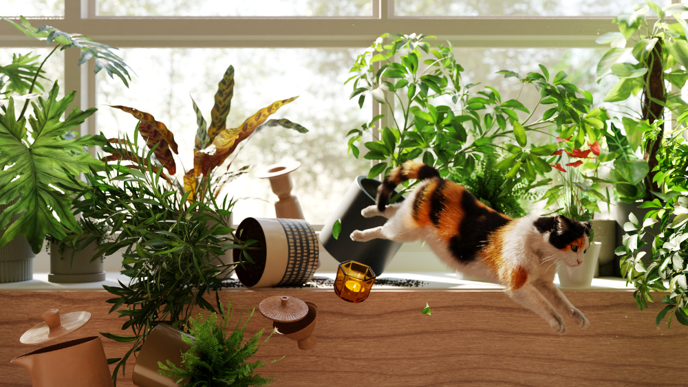 Plants and cat